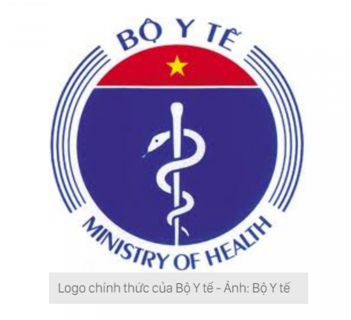 Công an vào cuộc vụ logo Bộ Y tế bị đổi thành con rắn ngậm phong bì - Ảnh 2.