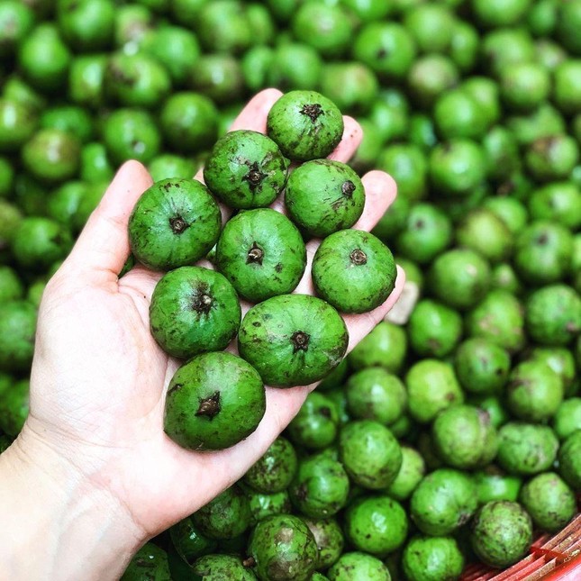 Công dụng theo Đông y và dân gian