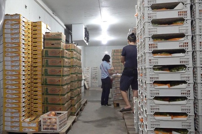Hà Nội xử lý hàng loạt cửa hàng bán hoa quả nhập khẩu - Ảnh 1.