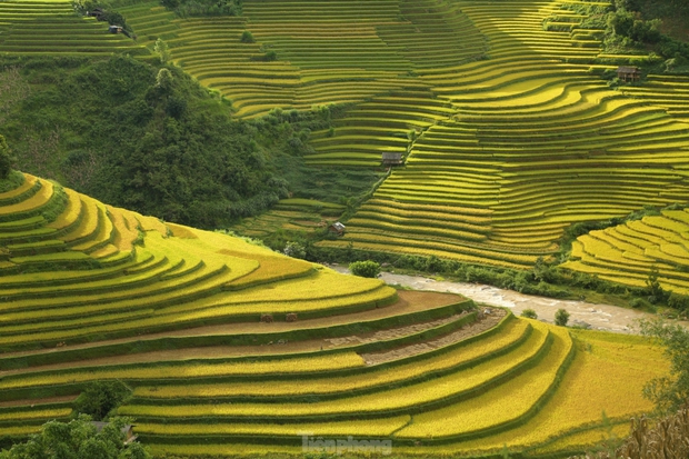 Mê mẩn ngắm tuyệt tác của núi rừng Tây Bắc - Ảnh 11.