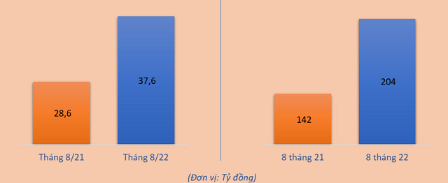 Dệt may TNG báo lãi tháng 8 gần 40 tỷ đồng, tăng 31% - Ảnh 3.