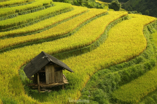 Mê mẩn ngắm tuyệt tác của núi rừng Tây Bắc - Ảnh 5.