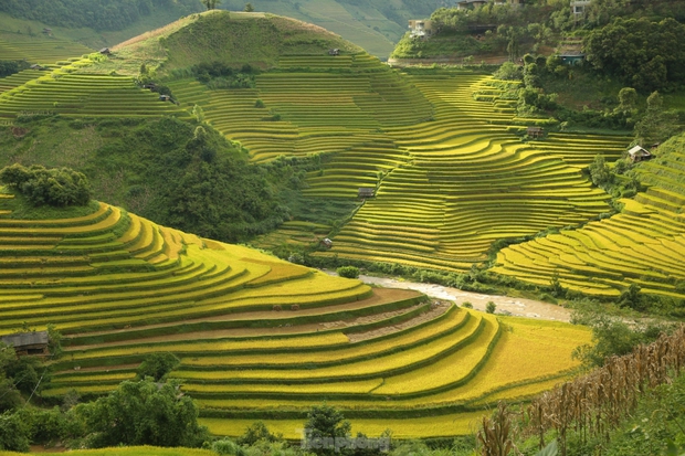 Mê mẩn ngắm tuyệt tác của núi rừng Tây Bắc - Ảnh 4.