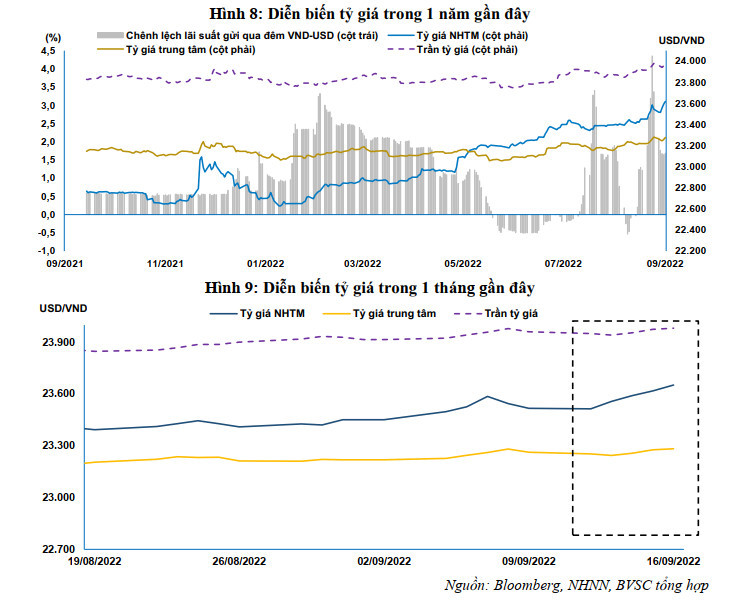 usd-vnd-forecast-will-usd-vnd-go-up-or-down