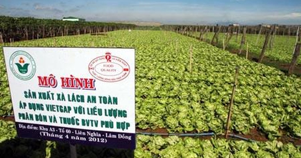 Chứng nhận VietGAP xịn có dễ đạt hay không? - Ảnh 4.