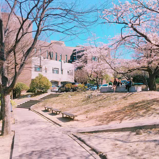 Ngôi trường được mệnh danh là Harvard Hàn Quốc: Thiết kế độc đáo, nơi xuất thân của hàng loạt nhân vật đình đám showbiz - Ảnh 5.