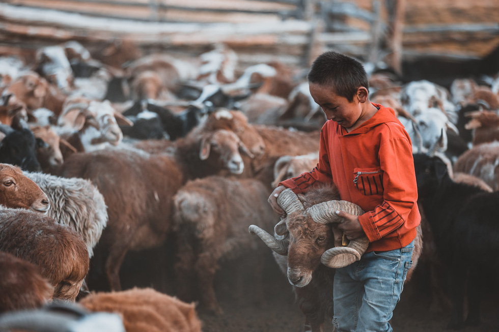 Thợ săn đại bàng - trái tim hoang dã trên thảo nguyên - Ảnh 16.