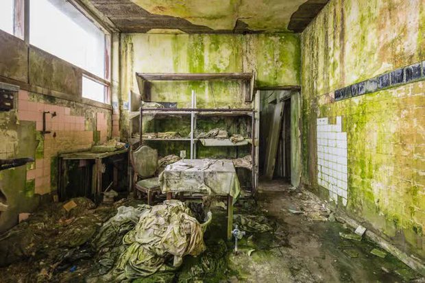  Khám phá bên trong khách sạn bị bỏ hoang tại Ireland, nơi khung cảnh được bao trùm bởi thảm thực vật - Ảnh 8.