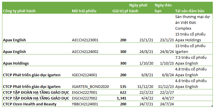 Huy động thêm 2.000 tỷ chỉ trong nửa đầu 2022, dư nợ trái phiếu hệ sinh thái Egroup của Shark Thủy lớn đến mức nào? - Ảnh 1.