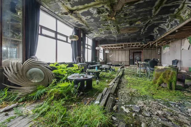  Khám phá bên trong khách sạn bị bỏ hoang tại Ireland, nơi khung cảnh được bao trùm bởi thảm thực vật - Ảnh 2.