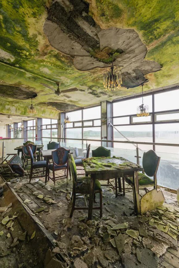  Khám phá bên trong khách sạn bị bỏ hoang tại Ireland, nơi khung cảnh được bao trùm bởi thảm thực vật - Ảnh 1.