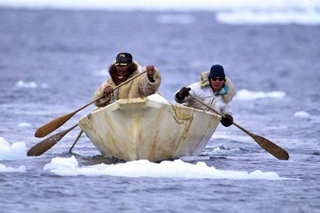 Công nghệ nguyên thủy: Bí ẩn về những chiếc lao làm từ gạc tuần lộc của người Inuit - Ảnh 5.