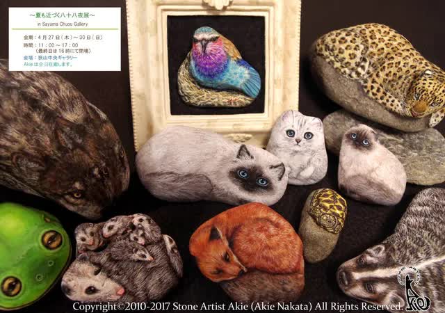 Nghệ sĩ Nhật Bản biến sỏi thành sinh vật sống, có người trả cả nghìn USD để sở hữu - Ảnh 5.