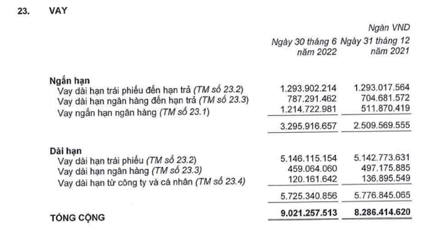 Một thập kỷ vay nợ của Hoàng Anh Gia Lai - Ảnh 3.