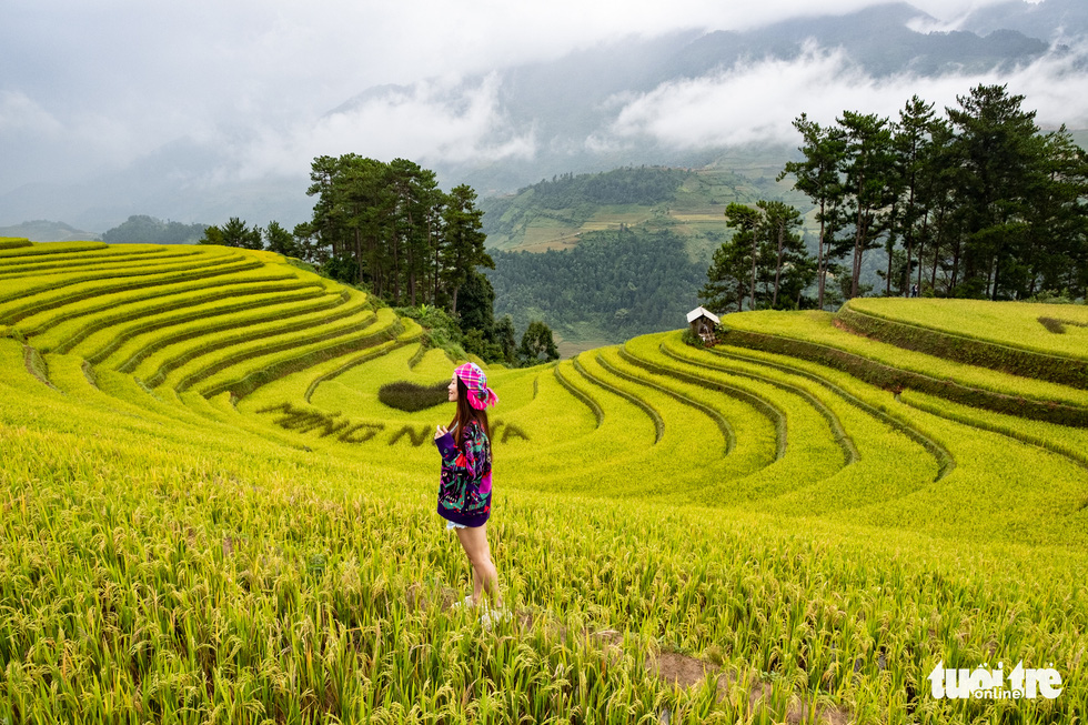 Từng đoàn xe nối nhau đi ngắm mùa vàng ở Mù Cang Chải - Ảnh 7.