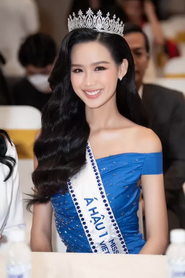 Nhan sắc và học vấn khủng của mỹ nhân đại diện Việt Nam chinh chiến Hoa hậu Liên lục địa - Ảnh 3.