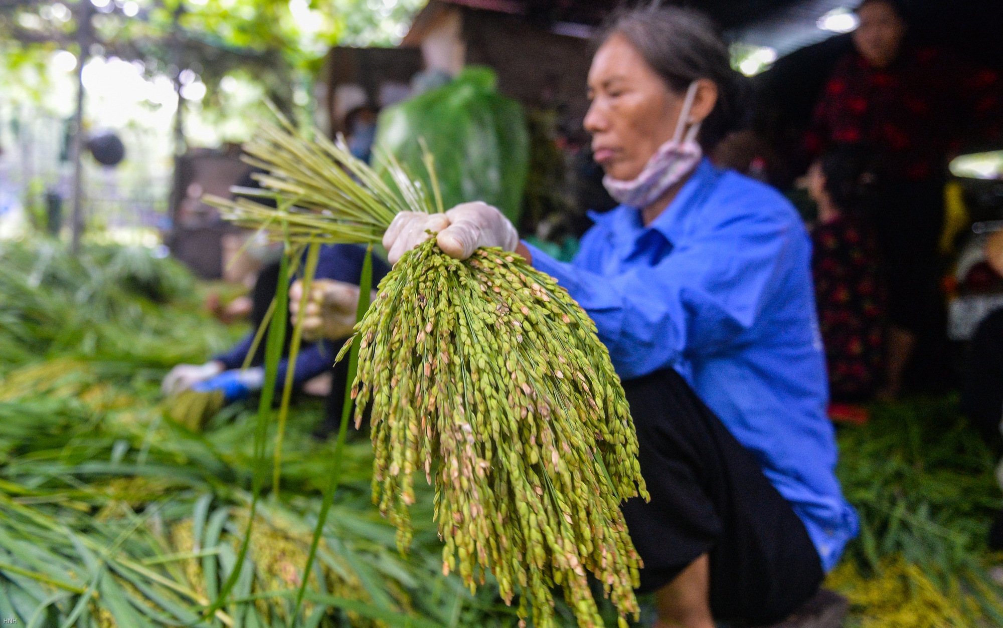 Hà Nội: Làng cốm Mễ Trì tất bật vào vụ lớn nhất trong năm - Ảnh 6. Hà Nội: Làng cốm Mễ Trì tất bật vào vụ lớn nhất trong năm - Ảnh 6.