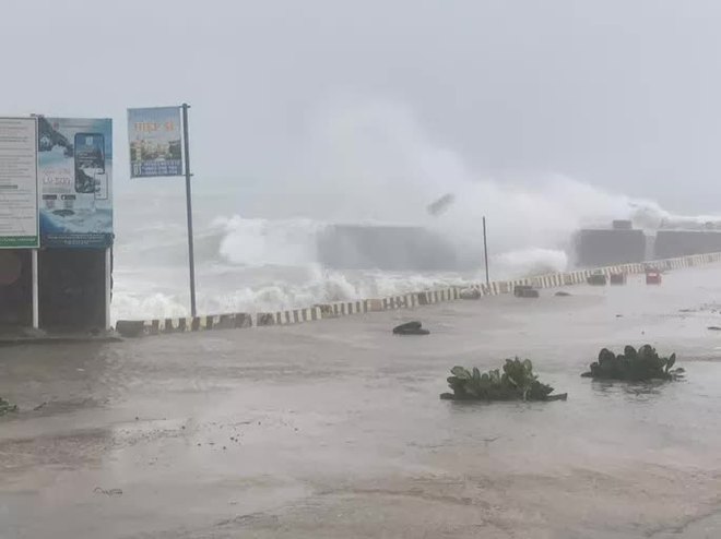  Bão số 4 (Noru): Đảo Lý Sơn gió giật cấp 11, cây cối gãy đổ  - Ảnh 4.