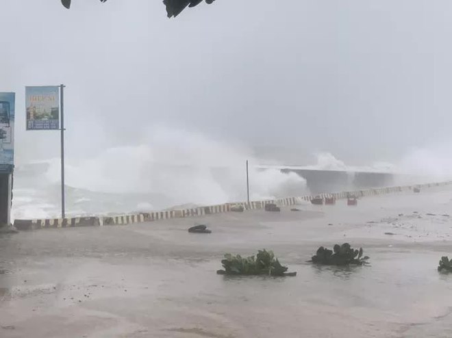  Bão số 4 (Noru): Đảo Lý Sơn gió giật cấp 11, cây cối gãy đổ  - Ảnh 2.