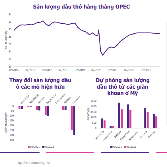 EVS Research: Nhiều thông tin khó lường, Chứng khoán có thể biến động mạnh trong giai đoạn đầu tháng 10 - Ảnh 2.