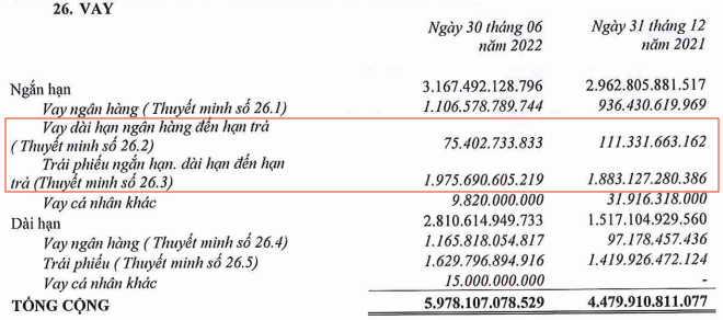 Đất Xanh sắp phát hành 2,5 triệu trái phiếu hoán đổi cho trái chủ với giá 19.983 đồng/cp - Ảnh 2.