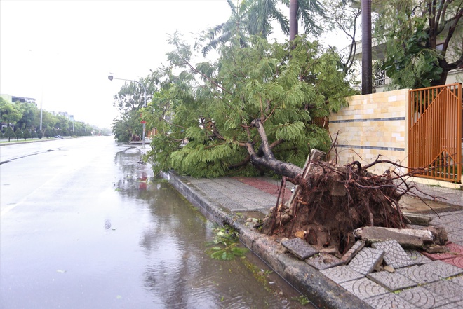  Hình ảnh thiệt hại ban đầu do bão Noru gây ra tại Đà Nẵng - Ảnh 10.