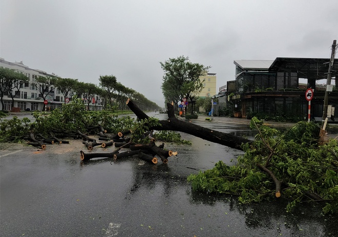  Hình ảnh thiệt hại ban đầu do bão Noru gây ra tại Đà Nẵng - Ảnh 8.