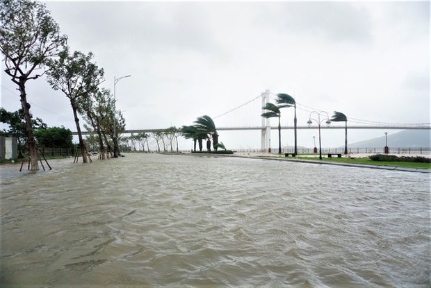  Hình ảnh thiệt hại ban đầu do bão Noru gây ra tại Đà Nẵng - Ảnh 7.