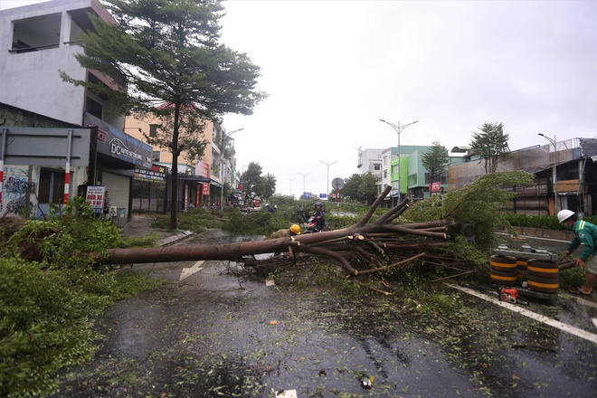 Hình ảnh thiệt hại ban đầu do bão Noru gây ra tại Đà Nẵng - Ảnh 4. Hình ảnh thiệt hại ban đầu do bão Noru gây ra tại Đà Nẵng - Ảnh 4.