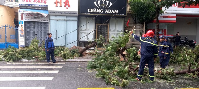  Siêu bão Noru đổ bộ: Hàng trăm ngôi nhà bị tốc mái, cây đổ la liệt, 4 người bị thương - Ảnh 2.