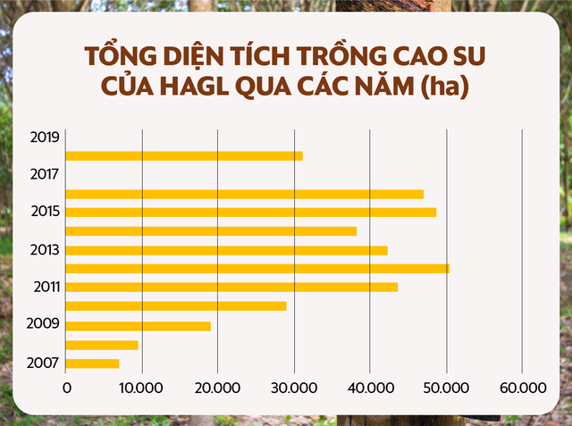 Bài học bán nhà trồng cao su của bầu Đức: Vì sao đầu tư bài bản, quy mô Đông Dương, công nghệ Israel, kết quả là sóng gió suốt thập kỷ? - Ảnh 2.