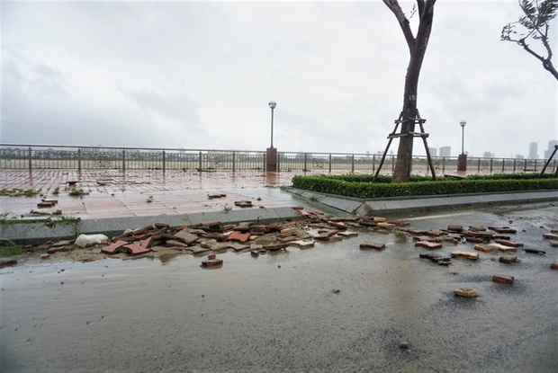  Hình ảnh thiệt hại ban đầu do bão Noru gây ra tại Đà Nẵng - Ảnh 14.