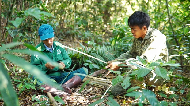 Tại sao nhiều người trẻ bỏ việc lương hàng chục triệu ở thành phố để về rừng sống? - Ảnh 10.