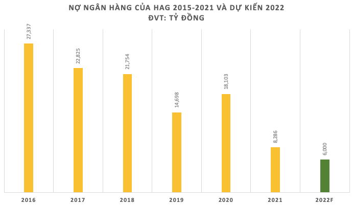 Hoàng Anh Gia Lai hoàn tất trả nợ trước hạn 605 tỷ đồng cho BIDV - Ảnh 1.