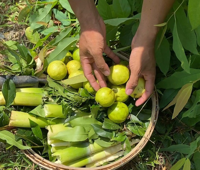 Tại sao nhiều người trẻ bỏ việc lương hàng chục triệu ở thành phố để về rừng sống? - Ảnh 4.