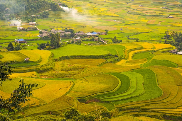 Ảnh: Nghỉ lễ Quốc Khánh 2/9, đến Yên Bái ngắm dù lượn bay trên ruộng bậc thang vàng óng - Ảnh 1.