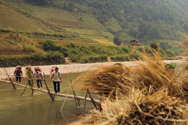 Ảnh: Nghỉ lễ Quốc Khánh 2/9, đến Yên Bái ngắm dù lượn bay trên ruộng bậc thang vàng óng - Ảnh 12.