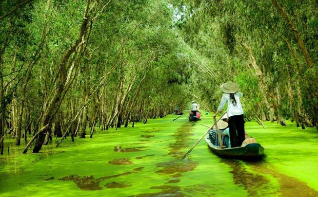 Về An Giang mùa nước nổi, lênh đênh giữa rừng Tràm Trà Sư ăn lẩu cá linh độc nhất vô nhị’ - Ảnh 3.