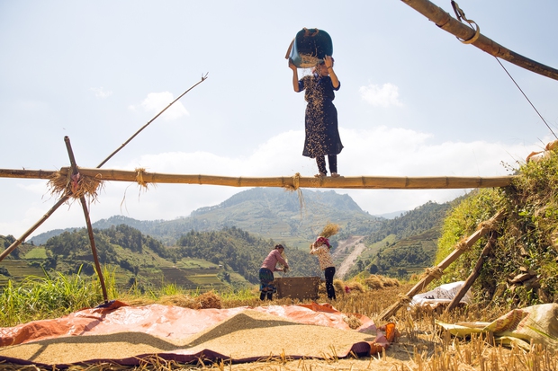 Ảnh: Nghỉ lễ Quốc Khánh 2/9, đến Yên Bái ngắm dù lượn bay trên ruộng bậc thang vàng óng - Ảnh 3.