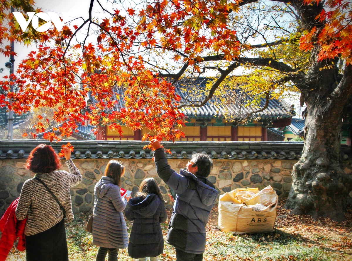 Hàn Quốc chính thức bỏ yêu cầu xét nghiệm Covid-19 sau khi nhập cảnh - Ảnh 1.