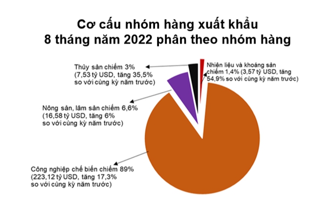 8 tháng đầu năm 2022, nhập siêu của Việt Nam từ quốc gia nào đạt gần 50 tỷ USD? - Ảnh 1.