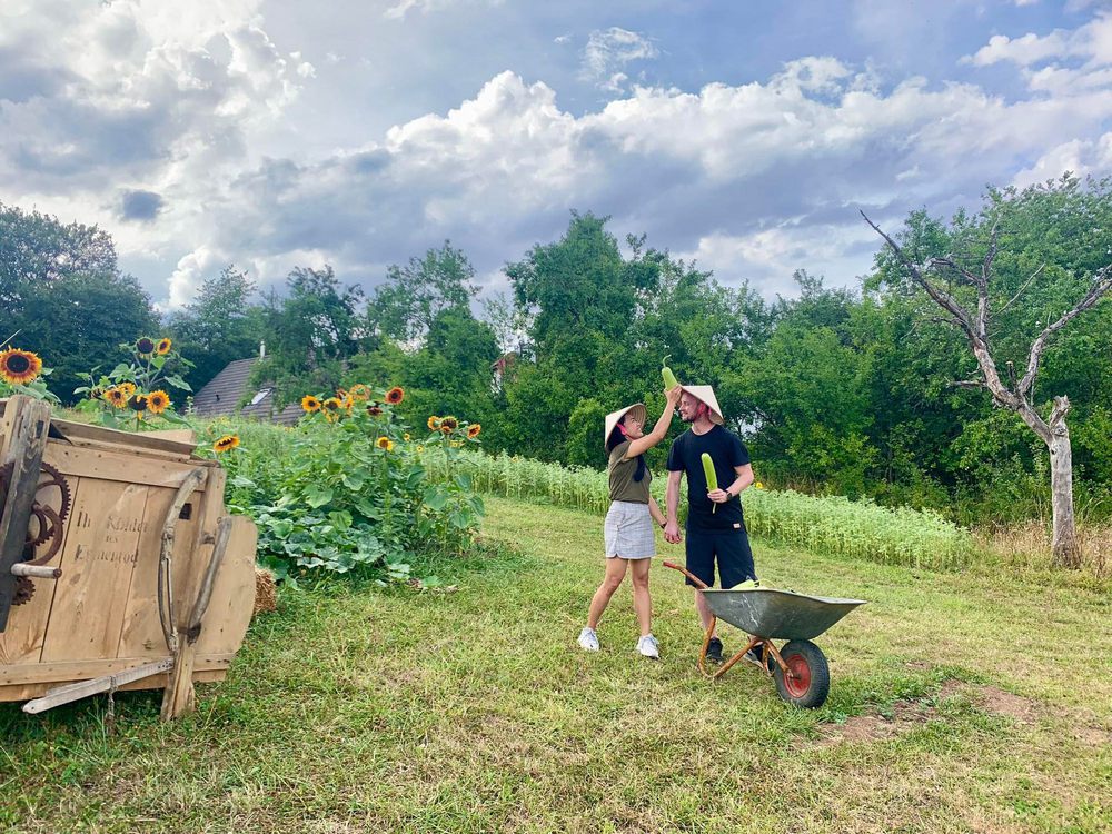 Mẹ Việt ở Đức về ngoại ô sống, làm farmstay gần 1ha, trồng rau quê bán cho người bản địa - Ảnh 3.