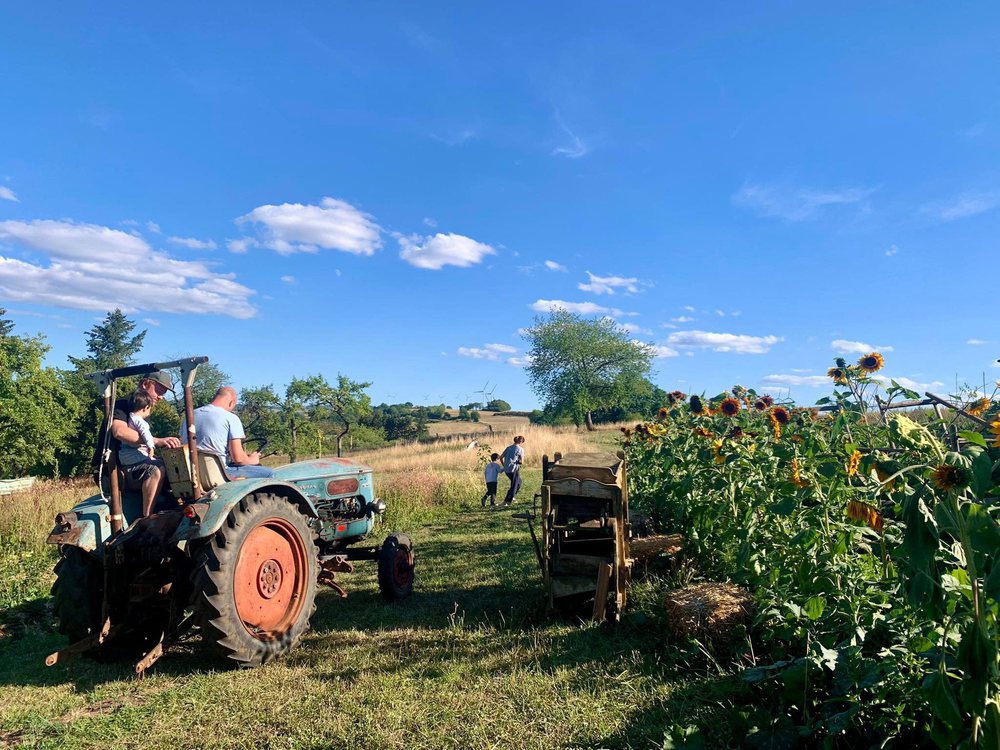 Mẹ Việt ở Đức về ngoại ô sống, làm farmstay gần 1ha, trồng rau quê bán cho người bản địa - Ảnh 5.