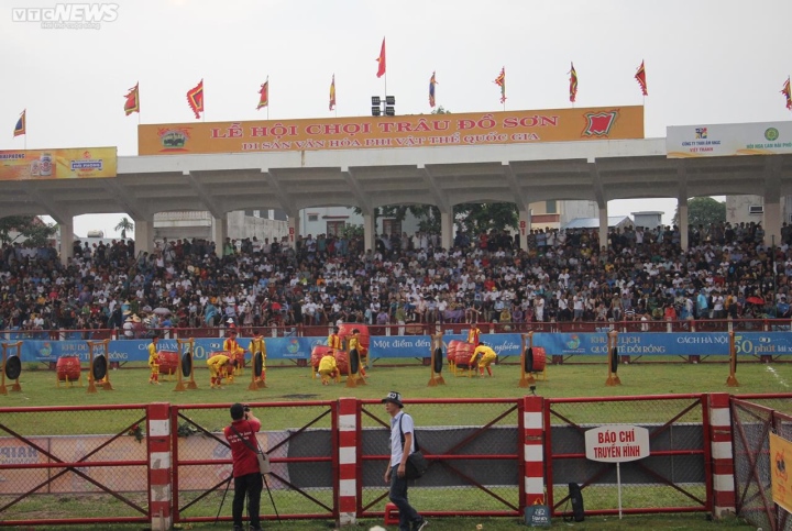  Vạn người đội mưa, chen chân về xem Lễ hội chọi trâu Đồ Sơn, Hải Phòng - Ảnh 8.