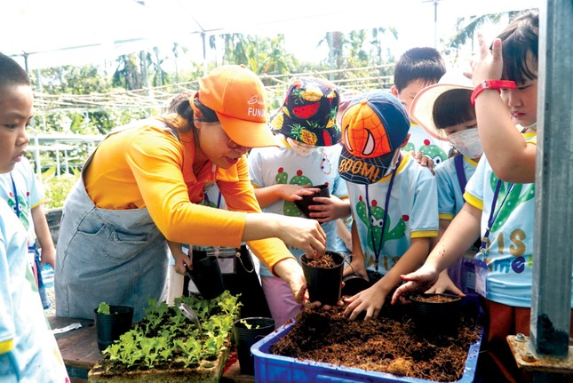 Bỏ việc lương cao làm… nông dân - Ảnh 2.