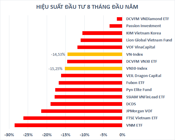 Thị trường chứng khoán hồi phục, các quỹ đầu tư lớn bớt lỗ sau tháng 8 - Ảnh 2.