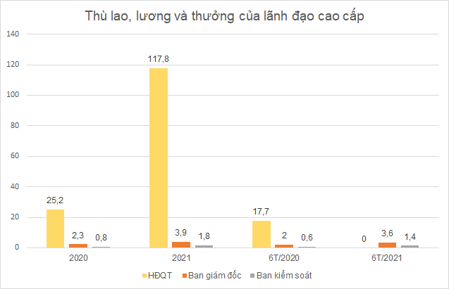 Lợi nhuận giảm, HĐQT Hòa Phát không nhận thù lao nửa đầu năm - Ảnh 1.