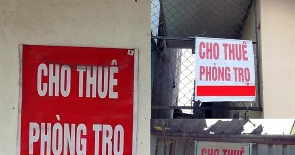 Thị trường nhà cho thuê tăng nhiệt