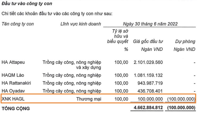 HAGL Agrico sắp giải thể một công ty con do hoạt động không hiệu quả - Ảnh 1.