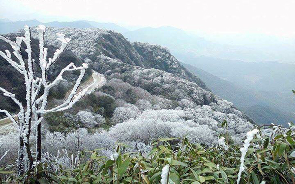 Không chỉ ở đỉnh Fansipan, Việt Nam cũng có nhiều địa điểm khác có thể săn tuyết rơi - Ảnh 11.
